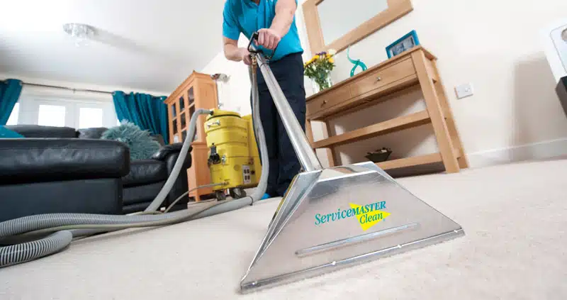 Professional carpet cleaning in a home